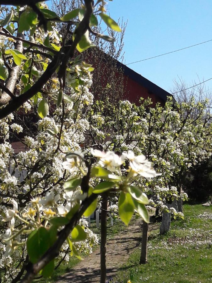 Kuca Za Odmor Mirni Kutak Vukovar Eksteriør bilde